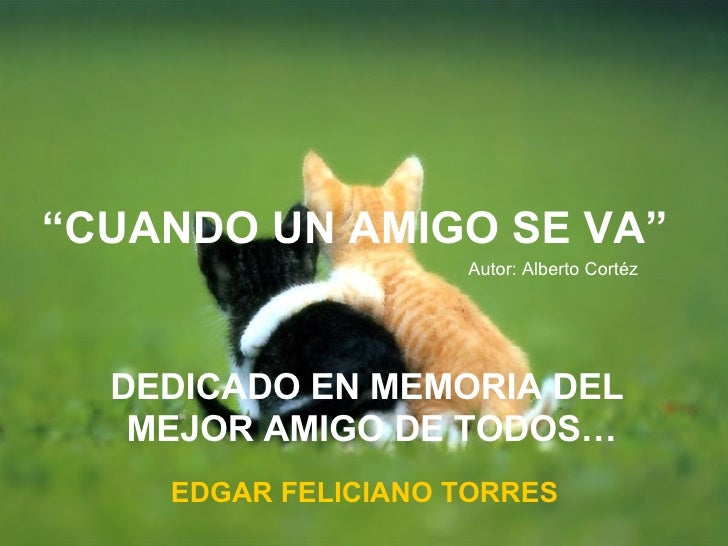 Cuando un amigo se va