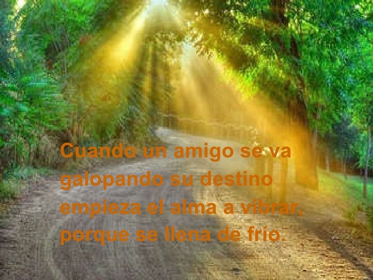 Cuando un amigo se va