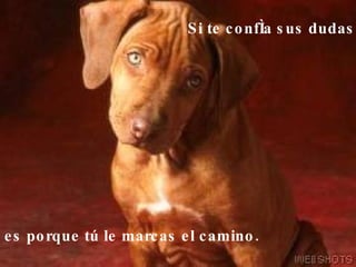 Si te confía sus dudas...      es porque tú le marcas el camino. 