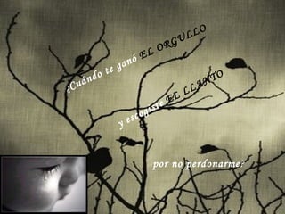 ¿ Cuándo te ganó  EL ORGULLO y escogiste  EL LLANTO por no perdonarme ? 