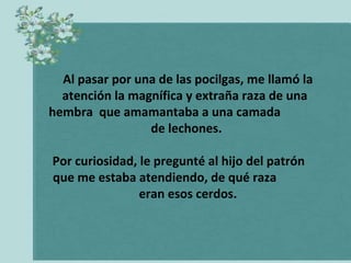 Al pasar por una de las pocilgas, me llamó la
  atención la magnífica y extraña raza de una
hembra que amamantaba a una camada
                 de lechones.

Por curiosidad, le pregunté al hijo del patrón
que me estaba atendiendo, de qué raza
                eran esos cerdos.
 