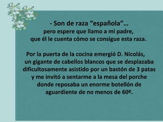 - Son de raza “española”…
      pero espere que llamo a mi padre,
  que él le cuenta cómo se consigue esta raza.

 Por la puerta de la cocina emergió D. Nicolás,
 un gigante de cabellos blancos que se desplazaba
dificultosamente asistido por un bastón de 3 patas
    y me invitó a sentarme a la mesa del porche
      donde reposaba un enorme botellón de
         aguardiente de no menos de 60º.
 