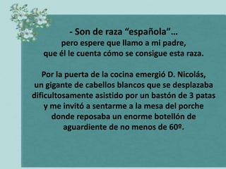 - Son de raza “española”…
       pero espere que llamo a mi padre,
   que él le cuenta cómo se consigue esta raza.

   Por la puerta de la cocina emergió D. Nicolás,
 un gigante de cabellos blancos que se desplazaba
dificultosamente asistido por un bastón de 3 patas
    y me invitó a sentarme a la mesa del porche
      donde reposaba un enorme botellón de
         aguardiente de no menos de 60º.
 