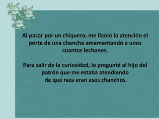 Al pasar por un chiquero, me llamó la atención el
   porte de una chancha amamantando a unos
                cuantos lechones.

Para salir de la curiosidad, le pregunté al hijo del
       patrón que me estaba atendiendo
         de qué raza eran esos chanchos.
 