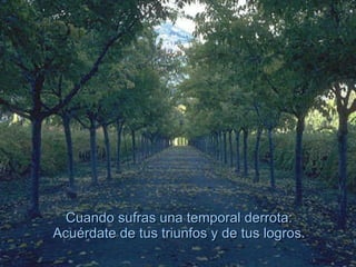 Cuando sufras una temporal derrota:  Acuérdate de tus triunfos y de tus logros.  