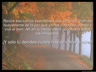 Revive esa caricia espontánea que se te dio. Disfruta nuevamente de la paz que ya has conocido, piensa y vive el bien. Allí en tu mente están guardadas todas las imágenes:   ¡Y sólo tú decides cuáles has de volver a mirar! 
