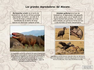 Los grandes depredadores del Mioceno.
Kelenken guillermoi en el sur de
Sudamérica: el depredador más pequeño
de los cuatro, pero con el tamaño de los
tigres machos más grandes. Un cazador
veloz armado con garras en forma de hoz
y una mordida cortante devastadora.
Barinasuchus arveloi en el norte de
Sudamérica: uno de los últimos grandes
depredador terrestre, con más de 5
metros de largo y armado con unas
mandíbulas de un metro de largo
capaces de destrozar cualquier presa.
Un gigantesco cocodrilo terrestre de hasta 6 metros de
largo. Con su cuerpo macizo y una mordida feroz, estaba
perfectamente adaptado para la caza en tierra firme, a
diferencia de los cocodrilos modernos. Su tamaño y
fuerza lo convertían en un superdepredador, capaz de
derribar grandes herbívoros
Una especie extinta de ave conocida como ave del terror.
Es el ave depredadora conocida más grande de la historia.
Vivió en el Mioceno, hace unos 15 millones de años.
Historia © 2023
Simon Ibarretxe
 