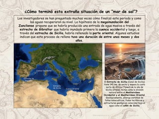 ¿Cómo terminó esta extraña situación de un “mar de sal”?
Los investigadores se han preguntado muchas veces cómo finalizó este período y como
las aguas recuperaron su nivel. La hipótesis de la megainundación del
Zancliense propone que se habría producido una entrada de agua masiva a través del
estrecho de Gibraltar que habría inundado primero la cuenca occidental y luego, a
través del estrecho de Sicilia, habría rellenado la parte oriental. Algunos estudios
indican que este proceso de relleno tuvo una duración de entre unos meses y dos
años.
Estrecho de
Gibraltar
Estrecho
de Sicilia Cuenca Oriental
Cuenca Occidental
El Estrecho de Sicilia (Canal de Sicilia)
tiene 145 km. de ancho y separa la costa
norte de África (Túnez) de la isla de
Sicilia (Italia). Actúa como la división
natural entre el Mediterráneo
Occidental y el Mediterráneo Oriental.
Geológicamente, alberga sistemas de
fallas subacuáticas, fosas tectónicas y
estructuras geológicas conocidas bajo el
agua como el cañón de Sicilia.
 