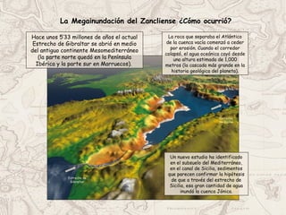 La Megainundación del Zancliense ¿Cómo ocurrió?
Hace unos 5’33 millones de años el actual
Estrecho de Gibraltar se abrió en medio
del antiguo continente Mesomediterráneo
(la parte norte quedó en la Península
Ibérica y la parte sur en Marruecos).
La roca que separaba el Atlántico
de la cuenca vacía comenzó a ceder
por erosión. Cuando el corredor
colapsó, el agua oceánica cayó desde
una altura estimada de 1,000
metros (la cascada más grande en la
historia geológica del planeta).
Un nuevo estudio ha identificado
en el subsuelo del Mediterráneo,
en el canal de Sicilia, sedimentos
que parecen confirmar la hipótesis
de que a través del estrecho de
Sicilia, esa gran cantidad de agua
inundó la cuenca Jónica.
Estrecho de
Gibraltar
Estrecho
de Sicilia
 
