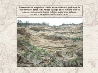 El testimonio de ese período se halla en los sedimentos profundos del
Mediterráneo, donde se ha hallado una capa de sal de hasta 2 km de
espesor, consecuencia de esos ciclos de evaporación del agua,
concentración y precipitación masiva de sal.
 