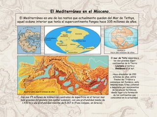 El Mediterráneo en el Mioceno.
El Mediterráneo es uno de los restos que actualmente quedan del Mar de Tethys,
aquel océano interior que tenía el supercontinente Pangea hace 335 millones de años.
Con sus 2’5 millones de kilómetros cuadrados de superficie es el tercer mar
más grandes del planeta (sin contar océanos), con una profundidad media de
1.430 m y una profundidad máxima de 5.267 m (Fosa Calypso, en Grecia).
El mar de Tetis separaba a
los dos grandes súper-
continentes de la Tierra:
Laurasia al norte y
Gondwana al al sur.
Mediterráneo hace 6 millones de años
Hace alrededor de 200
millones de años, entre
finales del Triásico y
comienzos del Jurásico, esta
inmensa masa firme comenzó
a separarse por movimientos
de las placas tectónicas,
dando lugar a la formación
de los continentes que
conocemos en la actualidad.
 