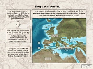 Europa en el Mioceno.
Hace unos 9 millones de años, al oeste del Mediterráneo
teníamos tres continentes: la parte más meridional de Europa,
el microcontinente Mesomediterráneo y África.
Mesomediterráneo
Europa
África
La comunicación entre el
Mediterráneo y el Atlántico no
se hacía por el Estrecho de
Gibraltar, que no existía, sino
por dos estrechos.
El segundo era el Estrecho
Sur-Rifeño, situado entre el
continente Mesomediterráneo
y África, en la actual Cuenca
del Bou-Regreg (Marruecos).
El primero y más septentrional
era el Estrecho Norbético, que
separaba el sur de Iberia del
norte del continente
Mesomediterráneo y que
actualmente coincide con la
Cuenca del Guadalquivir.
1
2
Historia © 2023
Simon Ibarretxe
 