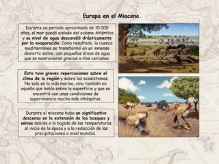Durante un periodo aproximado de 10.000
años, el mar quedó aislado del océano Atlántico
y su nivel de agua descendió drásticamente
por la evaporación. Como resultado, la cuenca
mediterránea se transformó en un inmenso
desierto salino, con pequeñas áreas de agua
que se mantuvieron gracias a ríos cercanos.
Europa en el Mioceno.
Esto tuvo graves repercusiones sobre el
clima de la región y sobre los ecosistemas.
No solo en la vida marina, sino también en
aquella que había sobre la superficie y que se
encontró con unas condiciones de
supervivencia mucho más inhóspitas.
Durante el mioceno hubo un significativo
descenso en la extensión de los bosques y
selvas debido a la bajada de las temperaturas
al inicio de la época y a la reducción de las
precipitaciones a nivel mundial.
 