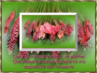 Que   hay otros que nunca  te olvidan. Que siempre encuentres un arco iris después de una tormenta. 