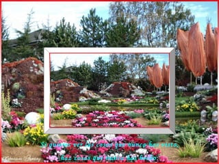 Si quieres ver las cosas que nunca has visto, haz cosas que nunca has hecho.  