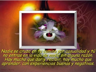 Nadie se cruza en tu camino por casualidad y tú
 no entras en la vida de nadie sin alguna razón.
  Hay mucho que dar y recibir, hay mucho que
aprender, con experiencias buenas y negativas.
 