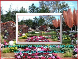 Si quieres ver las cosas que nunca has visto,
       haz cosas que nunca has hecho.
 