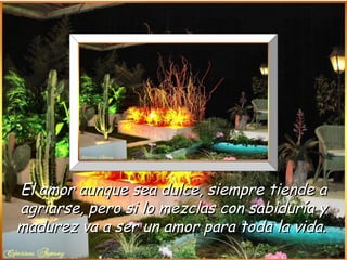 El amor aunque sea dulce, siempre tiende a
agriarse, pero si lo mezclas con sabiduría y
madurez va a ser un amor para toda la vida.
 