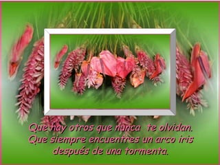Que hay otros que nunca te olvidan.
Que siempre encuentres un arco iris
     después de una tormenta.
 