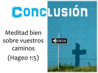Meditad bien 
sobre vuestros 
caminos 
(Hageo 1:5) 
