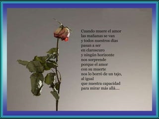 Cuando muere el amor
las mañanas se van
y todos nuestros días
pasan a ser
en claroscuro
y ningún horizonte
nos sorprende
porque el amor
con su muerte
nos lo borró de un tajo,
al igual
que nuestra capacidad
para mirar más allá....
 