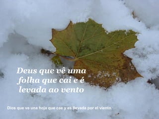 Deus que vê uma folha que cai e é levada ao vento Dios que ve una hoja que cae y es llevada por el viento.  