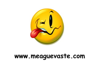 www.meaguevaste.com 