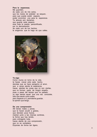 4
Para la esperanza.
Me guardián,
de cada uno de mis actos,
que los mares de soledad se sequen,
para que pueda existir espacio,
poder encontrar una para la esperanza.
Te atreves aún declamar,
que guarde cada espacio,
eres toda la osadía personificada,
por la demostración
de cada uno de tus hechos,
la exigencia que te hago es que calles.
Yo sigo
Como muros en torno de la vida,
te haces crecer ante cada hecho,
denotas que se hace peregrino el amor,
que a veces pierde la esperanza,
haces alardes de cosas que no son ciertas,
que no forman parte de ningún engaño,
pues a pesar del tiempo que ha pasado,
yo sigo siendo aquel que una vez conociste,
sólo que siento como antes,
pero respecto a ti, permíteme guardar,
la opinión que tengo.
De una comprensión
Allí tienes males y penas,
que te hacen acudir a gestos,
que denotan poca fuerza,
medran junto a las mismas sombras,
la forma que has tenido,
para entregarte toda,
haces alarde de una comprensión,
que no es verdadera.
Enjuicias de forma tan ligera,
 