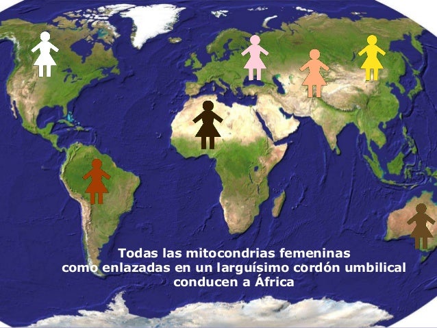 Cuantas razas hay en el mundo