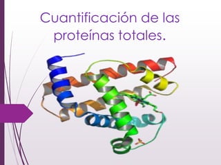 Cuantificación de las
proteínas totales.
 