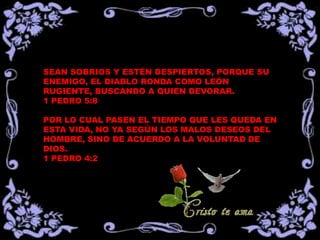 SEAN SOBRIOS Y ESTÉN DESPIERTOS, PORQUE SU
ENEMIGO, EL DIABLO RONDA COMO LEÓN RUGIENTE,
BUSCANDO A QUIEN DEVORAR.
1 PEDRO 5:8
POR LO CUAL PASEN EL TIEMPO QUE LES QUEDA EN
ESTA VIDA, NO YA SEGÚN LOS MALOS DESEOS DEL
HOMBRE, SINO DE ACUERDO A LA VOLUNTAD DE
DIOS.
1 PEDRO 4:2
 