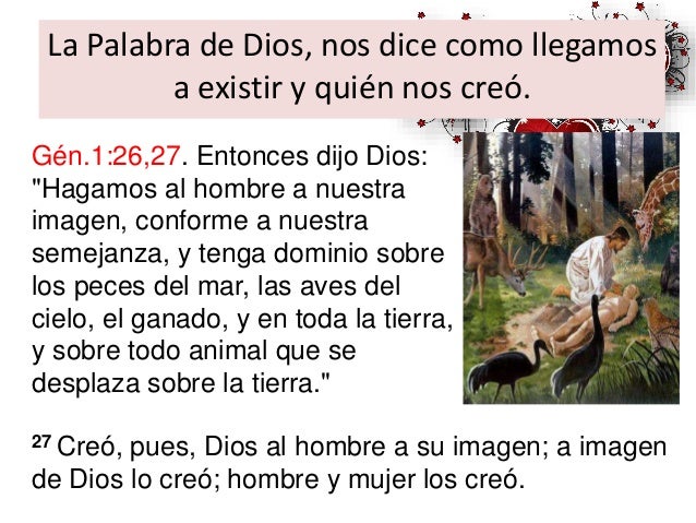 Cuantos Anos Vivio El Primer Hombre En La Tierra El