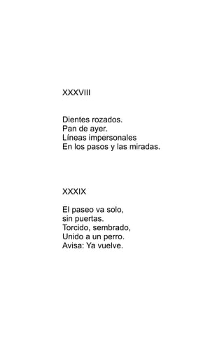 XXXVIII
Dientes rozados.
Pan de ayer.
Líneas impersonales
En los pasos y las miradas.
XXXIX
El paseo va solo,
sin puertas.
Torcido, sembrado,
Unido a un perro.
Avisa: Ya vuelve.
 