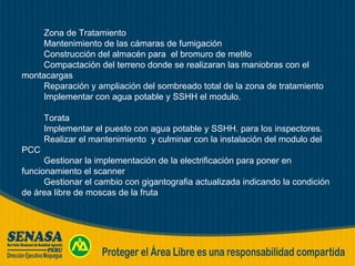 Zona de Tratamiento Mantenimiento de las cámaras de fumigación Construcción del almacén para  el bromuro de metilo Compactación del terreno donde se realizaran las maniobras con el montacargas Reparación y ampliación del sombreado total de la zona de tratamiento Implementar con agua potable y SSHH el modulo. Torata Implementar el puesto con agua potable y SSHH. para los inspectores. Realizar el mantenimiento  y culminar con la instalación del modulo del PCC Gestionar la implementación de la electrificación para poner en funcionamiento el scanner Gestionar el cambio con gigantografia actualizada indicando la condición de área libre de moscas de la fruta 