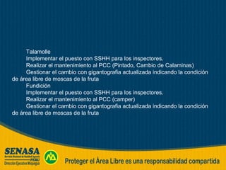 Talamolle Implementar el puesto con SSHH para los inspectores. Realizar el mantenimiento al PCC (Pintado, Cambio de Calaminas) Gestionar el cambio con gigantografia actualizada indicando la condición de área libre de moscas de la fruta Fundición  Implementar el puesto con SSHH para los inspectores. Realizar el mantenimiento al PCC (camper) Gestionar el cambio con gigantografia actualizada indicando la condición de área libre de moscas de la fruta 