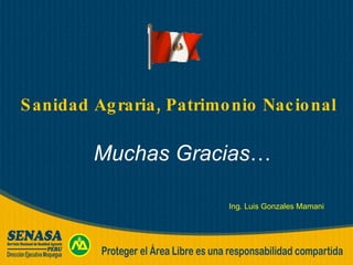 Muchas Gracias … Sanidad Agraria, Patrimonio Nacional Ing. Luis Gonzales Mamani 