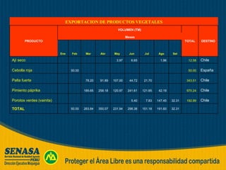     32.31 191.60 151.18 298.38 231.94 350.07 263.84 50.00   TOTAL Chile 192.99 32.31 147.45 7.83 5.40           Porotos verdes (vainita) Chile 970.24   42.19 121.65 241.61 120.97 258.18 185.65     Pimiento páprika Chile 343.51     21.70 44.72 107.00 91.89 78.20   Palta fuerte España 50.00               50.00   Cebolla roja  Chile 12.58   1.96   6.65 3.97         Ají seco Set Ago Jul Jun  May  Abr Mar Feb Ene Meses DESTINO TOTAL VOLUMEN (TM) PRODUCTO EXPORTACION DE PRODUCTOS VEGETALES 