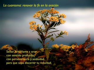 La cuaresma: renovar la fe en la oración




  Señor, enséñame a orar
  con sentido profundo,
  con perseverancia y asiduidad,
  para que sepa discernir tu voluntad.
 