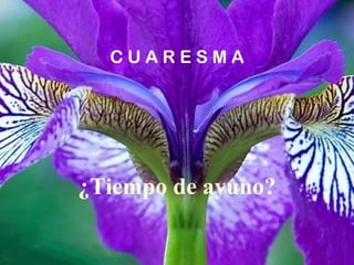 C U A R E S M A ¿Tiempo de ayuno?