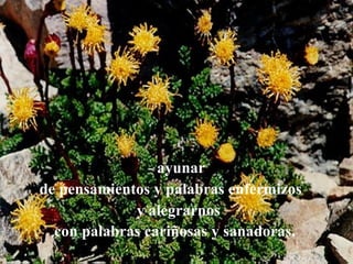 ayunar de pensamientos y palabras enfermizos y alegrarnos con palabras cariñosas y sanadoras.