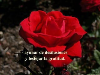 ayunar de desilusiones y festejar la gratitud.