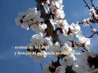 ayunar de la rabia y festejar la paciencia santificadora.