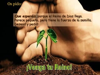 Os pido: Que esperéis , porque el Reino de Dios llega. Parece pequeño, pero tiene la fuerza de la semilla. Desead y pedid: ¡Venga tu Reino!