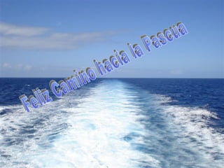 Feliz Camino hacia la Pascua