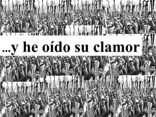 ...y he oído su clamor