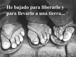 He bajado para liberarlo y
para llevarlo a una tierra...