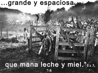 ...grande y espaciosa,
que mana leche y miel.”Ex 3,
7-8