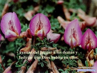 - ayunar del juzgar a los demás y festejar que Dios habita en ellos. 