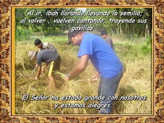 Al ir, iban llorando,llevando la semilla,
al volver , vuelven cantando, trayendo sus
                   gavillas.




El Señor ha estado grande con nosotros
          y estamos alegres.
 
