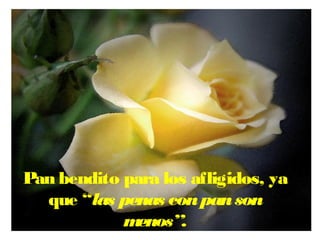 Pan bendito para los afligidos, ya
que “las penas conpanson
menos”.